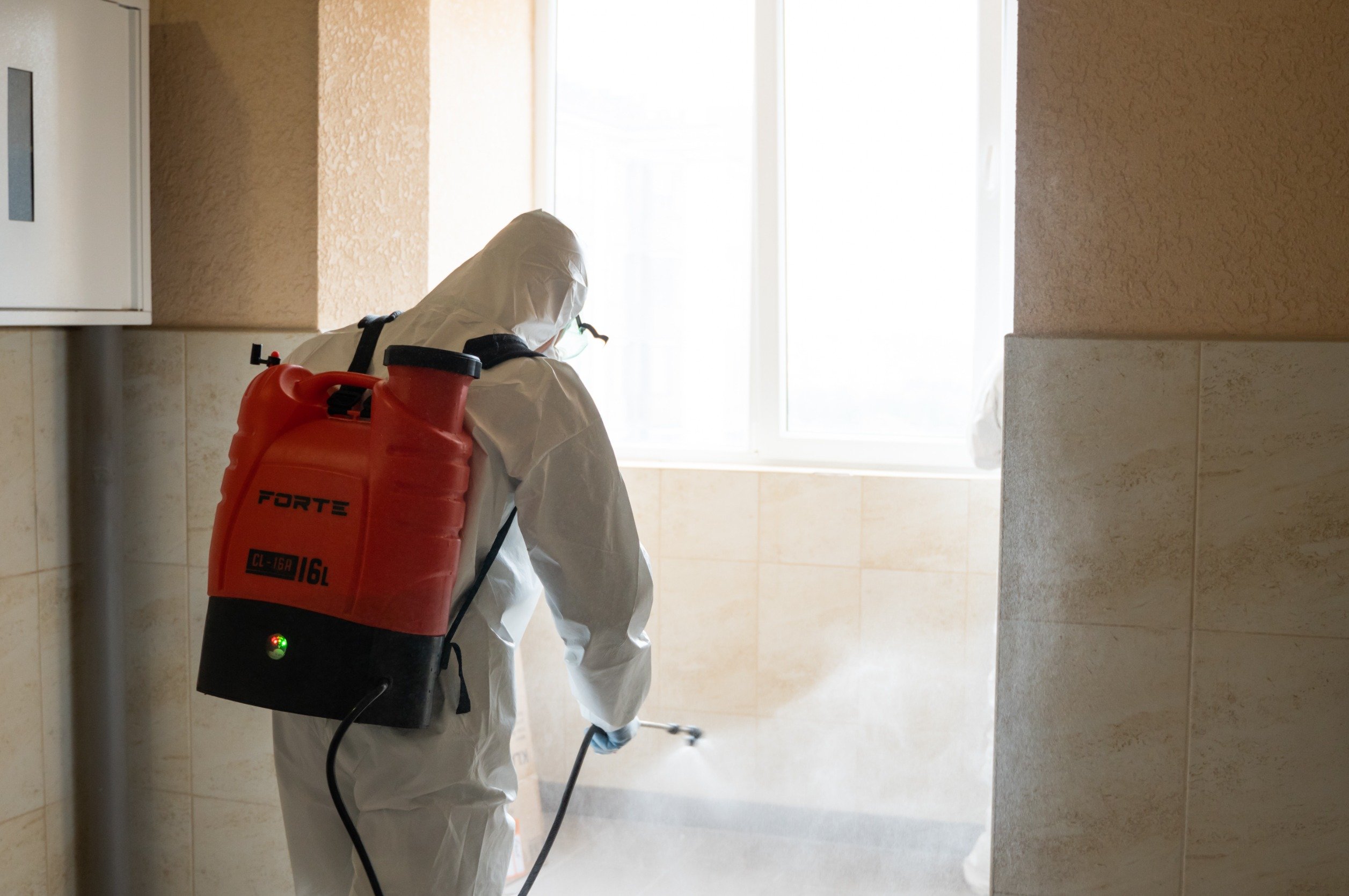 Mold Abatement Vs Remediation Understanding The Key Differences